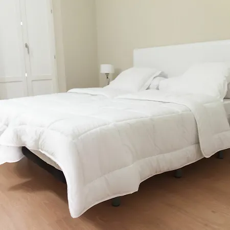 Premium Apartment